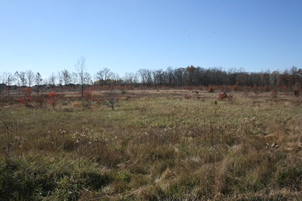 REAL ESTATE AUCTION - SEALED BID OF 18+/- ACRES IN ALLEN COUNTY